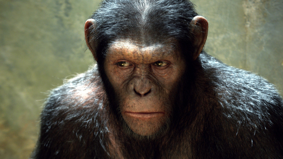 Rise of the planet of the apes fmovies deals