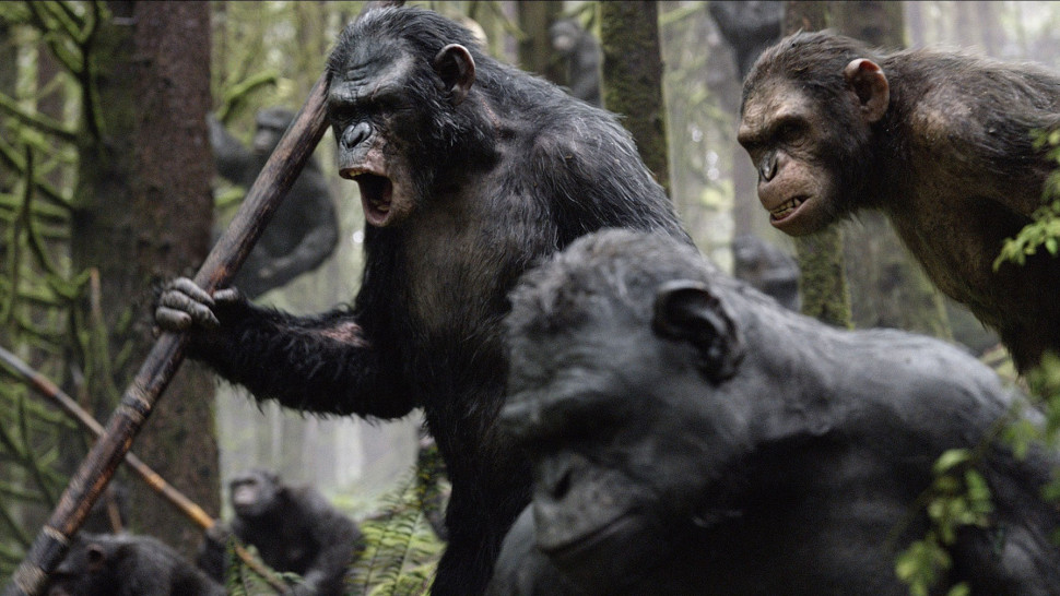 Nonton film dawn of the planet outlet of the apes full movie 2017